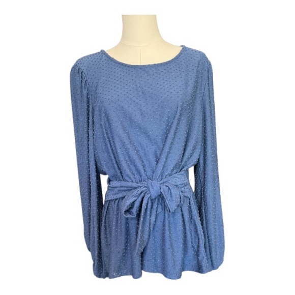 EUC Ava James blue textured long sleeve tie-back, tie-front/top – XL - Picture 1 of 11